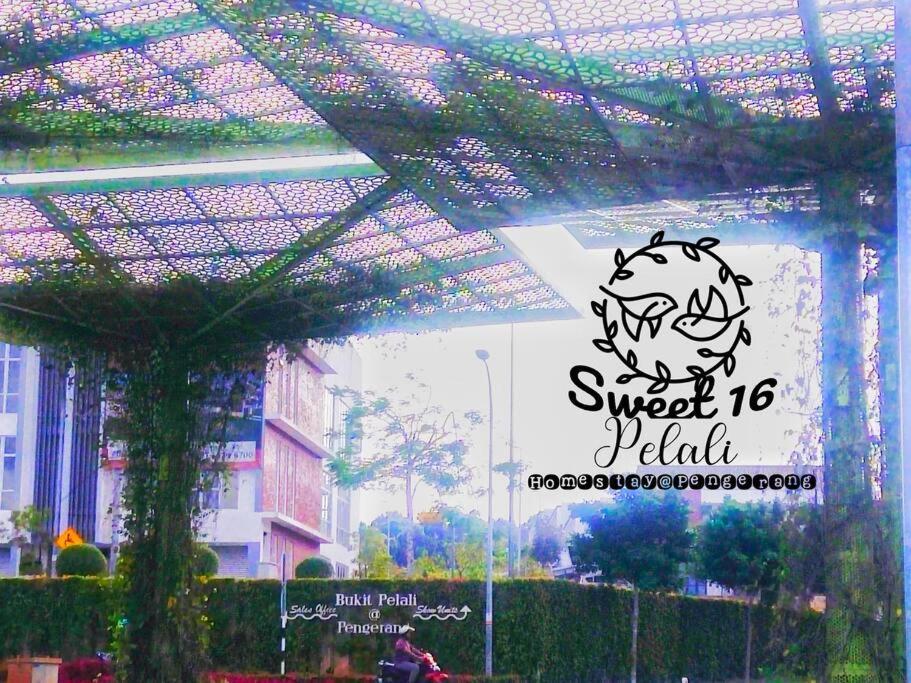 Sweet 16 Pelali Homestay Pengerang Kültér fotó