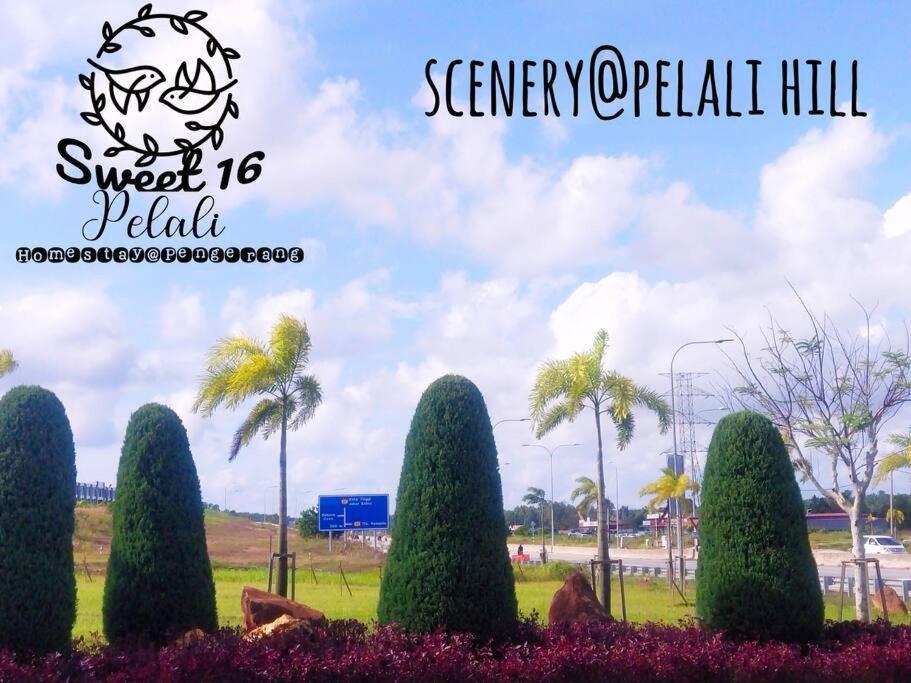 Sweet 16 Pelali Homestay Pengerang Kültér fotó